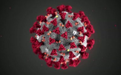 Nieuws omtrent het coronavirus